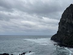 -涉地可支