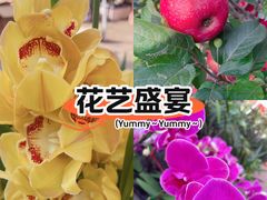 -潮汕大目牛肉火锅(皇岗旗舰店)