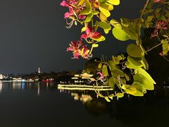 -惠州西湖风景名胜区-丰渚园