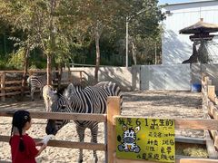 -水上乐园·欢乐世界