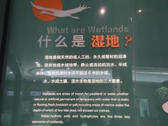 -中国湿地博物馆