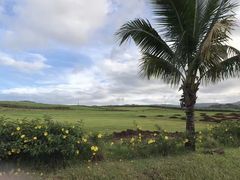 -塞尔夫岛