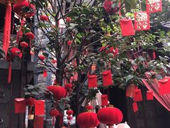 -三只耳火锅(宽窄巷子店)