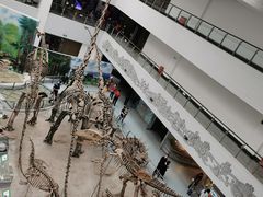 -中国地质大学逸夫博物馆
