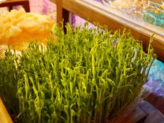 -廣順興(黄山路店)