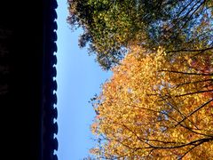 -北山街历史文化街区