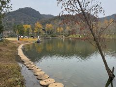 -千年银杏谷文化旅游区