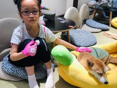-逗柴咖啡屋·狗咖猫咖宠物桌游