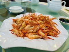 北江河虾-小北江河鲜(旧城店)