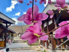 -北京水岸山吧度假村(雁栖镇店)