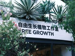 -自由生长植物工作室(深港花卉中心店)