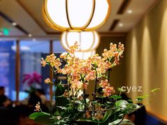 -酒吞(七宝领展广场店)