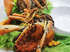 -聪辉同安老美食饭店(大元路店)