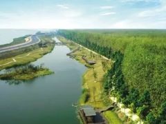 -合肥滨湖国家森林公园