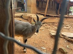 -昆明动物园