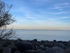 -上海吴淞炮台湾国家湿地公园