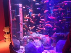 -沈阳海洋探索中心