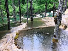 -黄龙山原始森林景区