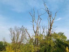 -白鹭湾湿地公园