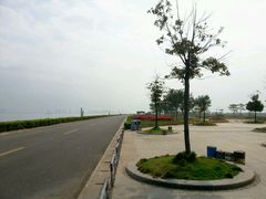 android_upload_pic-海鸥岛