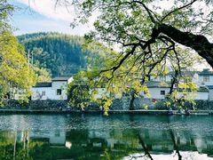-四明山国家森林公园