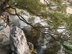 -东湖落雁景区