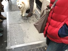 -埃马努埃莱二世拱廊