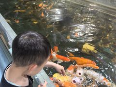 -上海大自然野生昆虫馆(东方明珠·爬宠昆虫探索中心)