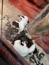 -Zoolung Zoolung动物主题公园(海信广场店)