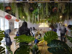 -Husky Go! 哈士奇体验馆·宠物咖啡厅狗咖