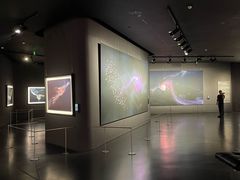 -罗红摄影艺术馆