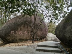 -火炉山森林公园
