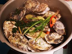 -千岛蚝高压锅生蚝·人参火锅(白云万达店)