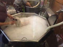 -PETKIT小佩宠物(古北店)