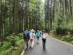 -山王坪喀斯特国家生态公园