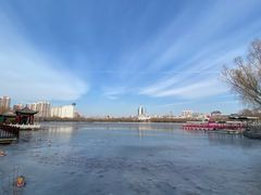 -莲花池公园