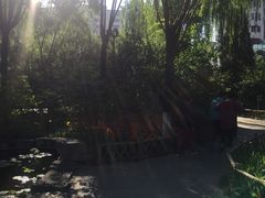 -文瀛公园