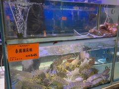 -好彩海鲜火锅饭店(银河百老汇店)