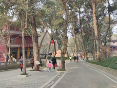 -子昂故里文化旅游区
