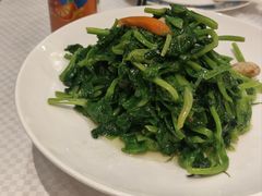 酒香豌豆苗-卫鼎轩·曹公馆(鼓楼店)