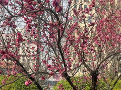 -山东大学(趵突泉校区)