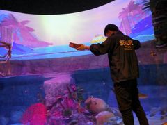 -沈阳海洋探索中心