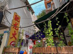 -肥龙火锅(南坪店)