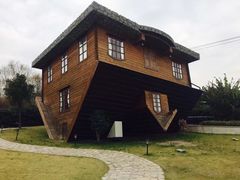 -金山农民画村-枫泾波兰倒置屋