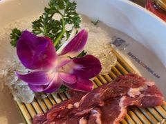 -小龙坎火锅(全球旗舰店)