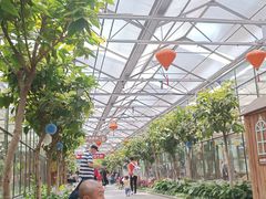 -南宫五洲植物乐园