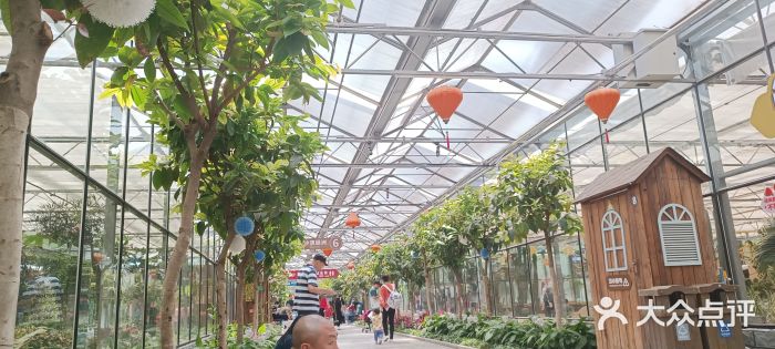 南宫五洲植物乐园图片