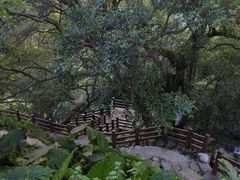 -锄山村