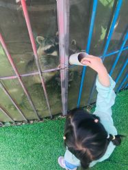 -萌宠亲子动物乐园(槐房万达店)