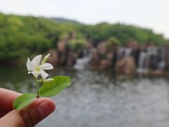 -白马涧龙池景区